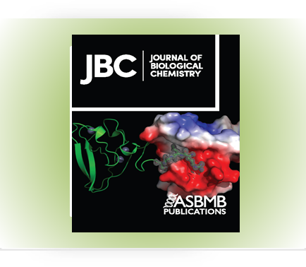 Human microRNA miR-197-3p positively regulates HIV-1 virion infectivity through its target DDX52...